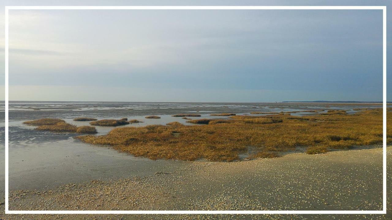 Odyssee Gite Sur Peniche Saint-Valery-sur-Somme Bagian luar foto